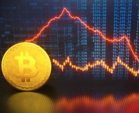 Forza Trading - APA ITU Forza Trading